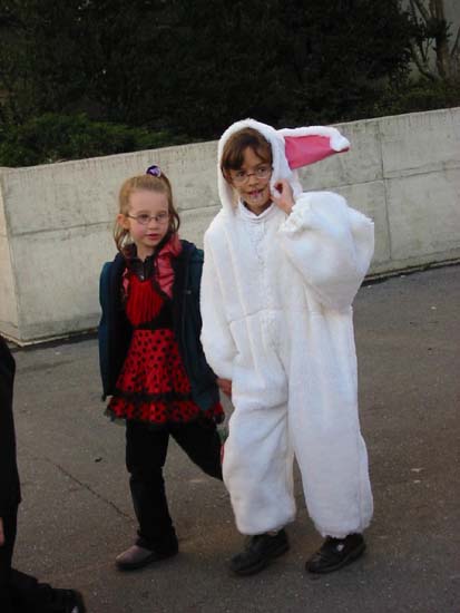 un petit lapin