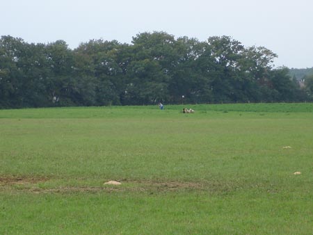 DSC01069