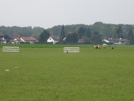 DSC01070
