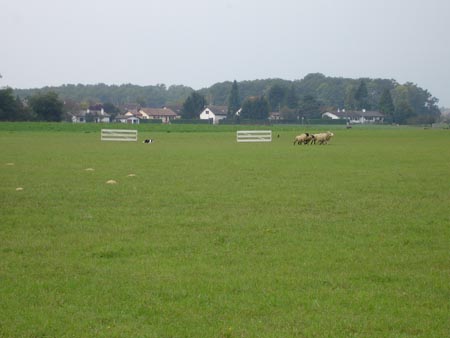 DSC01071