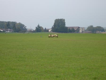 DSC01072