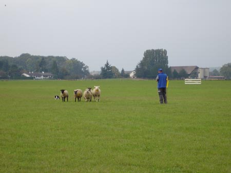 DSC01073