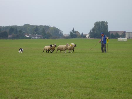 DSC01074