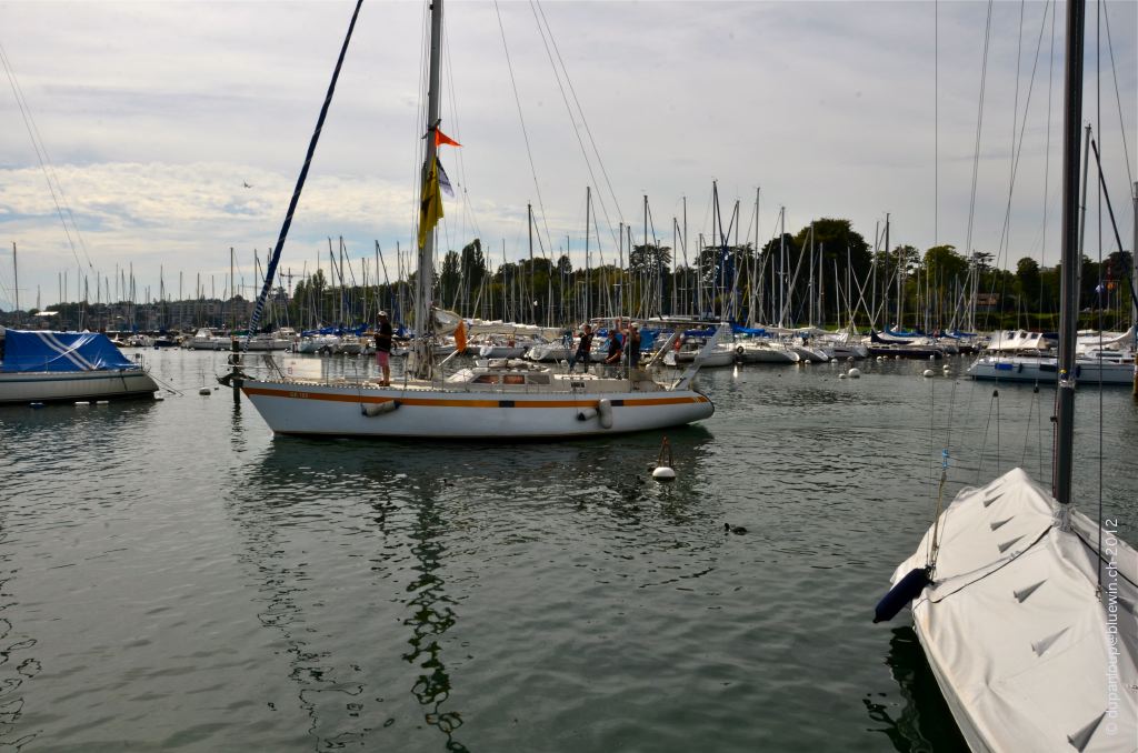 _DSC6125